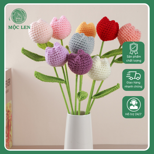 Hoa Len Đơn Tulip